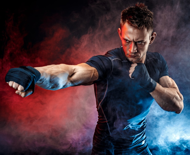 Martial Arts for Parties and Events